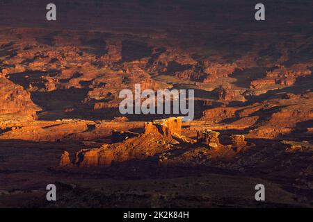 Sandstein-Hoodoos, die bei Sonnenaufgang vom Buck Canyon Overlook, Canyonlands NP, Moab, Utah, aus gesehen werden. Diese Gesteinsformationen bestehen aus Organ R Stockfoto