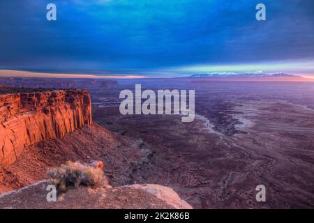 Wolkiger Sonnenaufgang über dem Buck Canyon, dem White Rim & den La Sal Mountains, Canyonlands National Park, Moab, Utah. Vom Buck Canyon aus gesehen übersehe ich Stockfoto