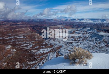 Winterschnee auf dem White Rim & Buck Canyon im Canyonlands National Park, Moab, Utah mit den La Sal Bergen dahinter. Stockfoto