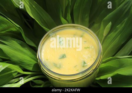 Butter mit wildem Knoblauch im Kräuter Stockfoto