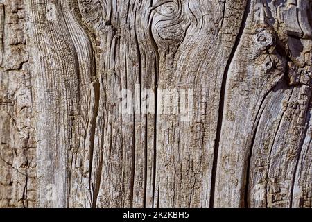 Alte Holz-Textur Stockfoto