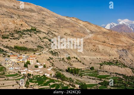 Dhankar Gompa Kloster und Dhankar Dorf, Spiti Tal, Himachal Pradesh, Indien Stockfoto