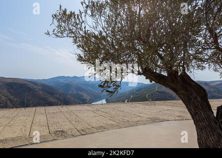 Foz Coa. Douro Stockfoto