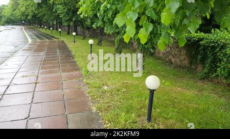 Bürgersteig mit Betonplatten, nass vom Regen, Laternen und Bäumen entlang der Gasse an einem wolkigen Sommerregnertag in einem Stadtpark und nasser Asphalt nach starkem Regen Stockfoto