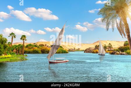 Traditionelle Ansicht von Assuan, die Segelboote im Nil hinter der Palme, Ägypten, Afrika Stockfoto