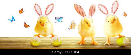 Kleine niedliche Neugeborene Baby Küken für Ostern Feier. Stockfoto