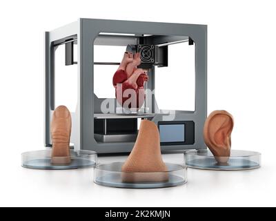 Medizinischer 3D-Drucker und gedruckte menschliche Organe auf weißem Hintergrund isoliert. 3D Abbildung Stockfoto