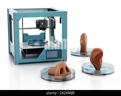 Medizinischer 3D-Drucker und gedruckte menschliche Organe auf weißem Hintergrund isoliert. 3D Abbildung Stockfoto