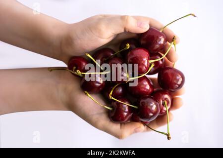 Die Hände des Kindes halten Sommerkirschen fest Stockfoto