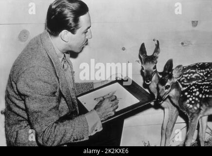 Der amerikanische Animator und Produzent Walt Disney zeichnet Bambi 1941 Stockfoto