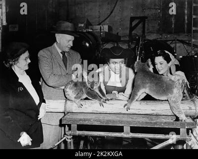 Botany Bay Jahr : 1952 USA Regie : John Farrow John Farrow, James Mason, Patricia Medina Aufnahme Stockfoto