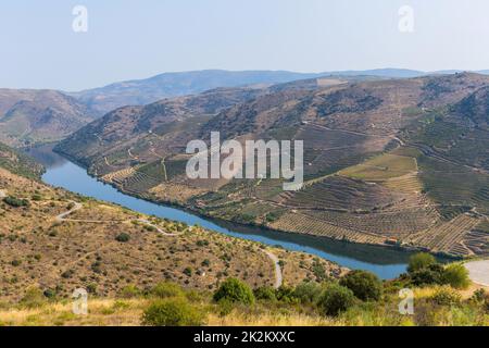 Foz Coa. Douro Stockfoto