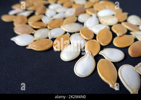 Kürbiskerne der Vorfahren, die im Garten gepflanzt werden können Stockfoto