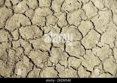 Rissbildung und Spaltung von Böden durch Dursterosion und Dürre, Erosion durch Dürre und Wüstenbildung Stockfoto