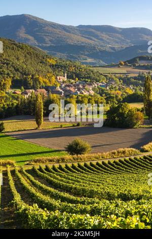 Dorf Valserres und Weinberge im Herbst. Weingut und Weinreben in den Hautes-Alpes, Alpen, Frankreich Stockfoto