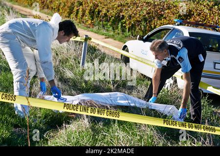 Abdeckung des Gehäuses. Aufnahme von zwei Ermittlern, die an einem Tatort einen Leichensack aufholten. Stockfoto