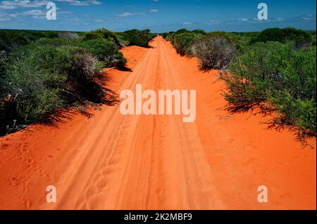 Typische rote Sandspur im australischen Outback. Stockfoto