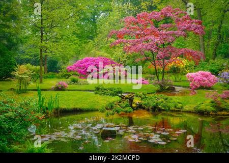 Japanischer Garten, Park Clingendael, Den Haag, Niederlande Stockfoto