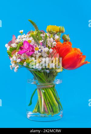 Frühlingsblumen-Arrangement in einer Glasvase Stockfoto