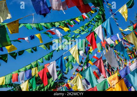 Buddhistische Gebetsfahnen luna in McLeod Ganj, Himachal Pradesh, Indien Stockfoto