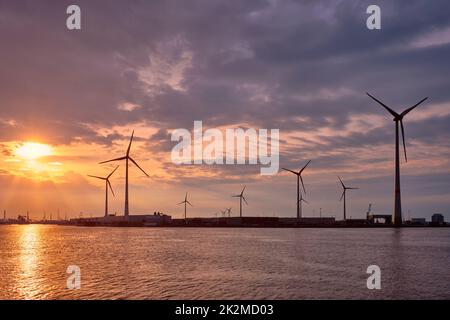 Windturbinen im Hafen von Antwerpen bei Sonnenuntergang. Stockfoto