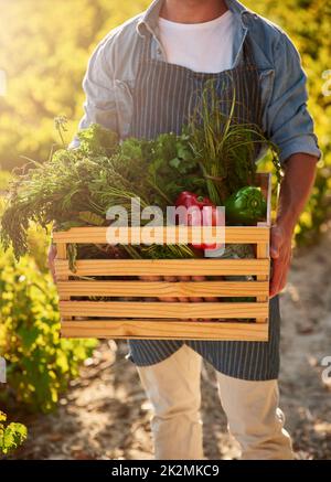 Von erfahrenen Händen geerntet. Ein kurzer Schuss eines Mannes, der auf einem Bauernhof eine Kiste voller frisch gepflückter Produkte in der Hand hält. Stockfoto