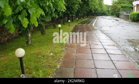 Bürgersteig mit Betonplatten, nass vom Regen, Laternen und Bäumen entlang der Gasse an einem wolkigen Sommerregnertag in einem Stadtpark und nasser Asphalt nach starkem Regen Stockfoto