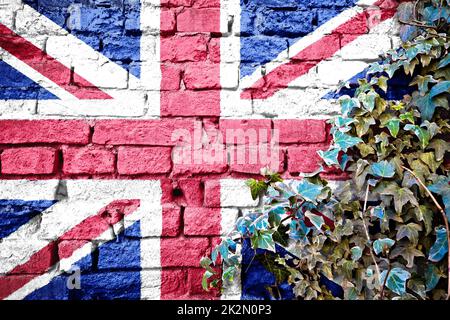 Grunge-Flagge des Vereinigten Königreichs an der Ziegelwand mit Efeu-Pflanze Stockfoto