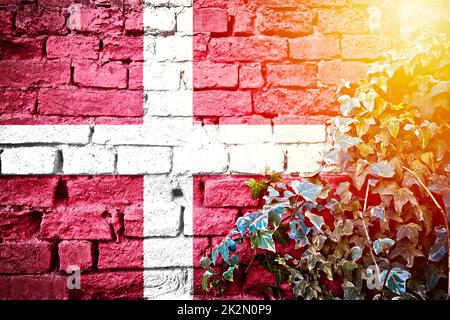 Dänische Grunge-Flagge an der Ziegelwand mit Blick auf die Efeu-Pflanze und den SonnenDunst Stockfoto