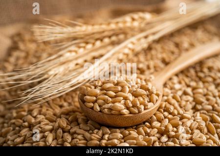 Getreide und Weizenohren aus ökologischer Landwirtschaft. Stockfoto
