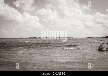 Panoramablick auf die Muyil Lagoon im tropischen Dschungel des erstaunlichen Mexikos. Stockfoto