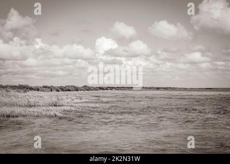 Panoramablick auf die Muyil Lagoon im tropischen Dschungel des erstaunlichen Mexikos. Stockfoto