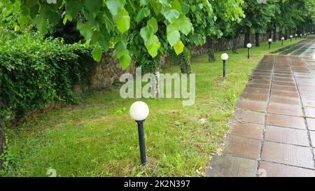 Bürgersteig mit Betonplatten, nass vom Regen, Laternen und Bäumen entlang der Gasse an einem wolkigen Sommerregnertag in einem Stadtpark und nasser Asphalt nach starkem Regen Stockfoto