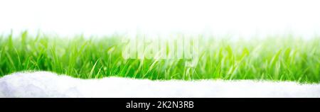 Viele Schneeglöckchen in den ersten Frühlingstagen Stockfoto