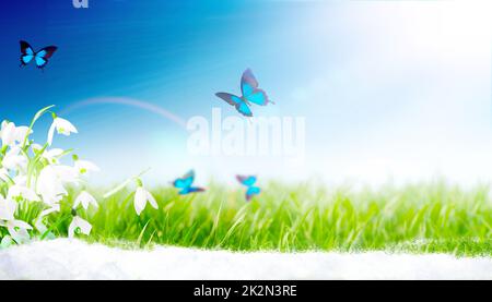 Viele Schneeglöckchen in den ersten Frühlingstagen mit Schmetterling Stockfoto
