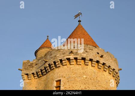 Schloss Blandy les Tours in seine et Marne Stockfoto