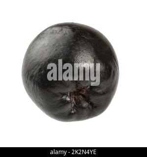 Detail der einzelnen Aronia (apfelbeere) Frucht, auf weißem Hintergrund. Stockfoto