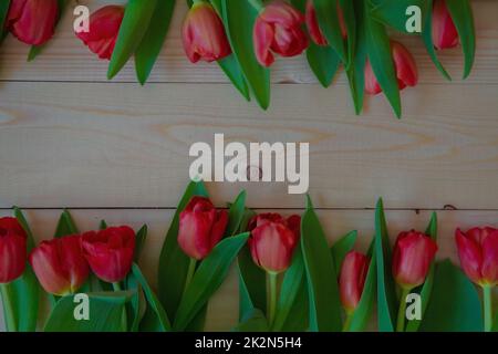 Pinke Tulpen mit grünen Blättern liegen in einer Reihe unten und oben auf einem Holzhintergrund mit einer Textstelle Stockfoto