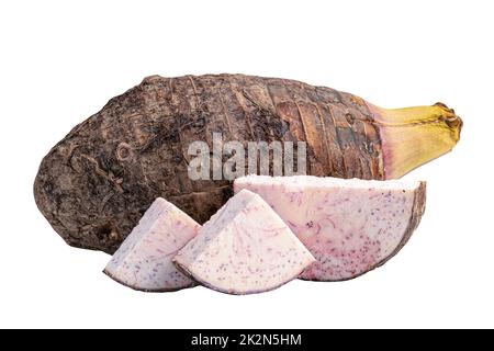 Taro oder Colocasia esculenta und Slice isoliert auf weißem Hintergrund mit Beschneidungspfad. Stockfoto