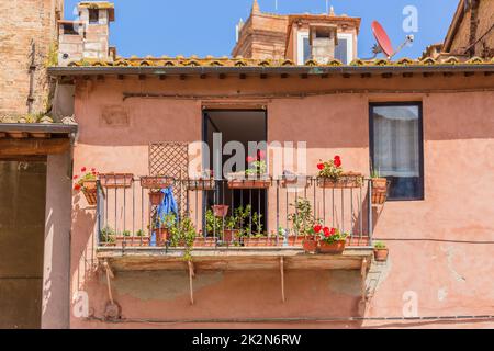 Balkon mit roten Blumen in Fensterrahmen Stockfoto