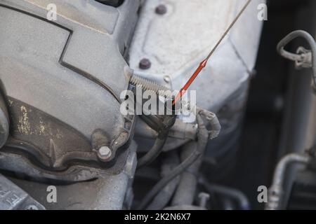 Der Servicetechniker nimmt einen Messstab heraus, um den Ölstand im Automotor zu überprüfen. Stockfoto