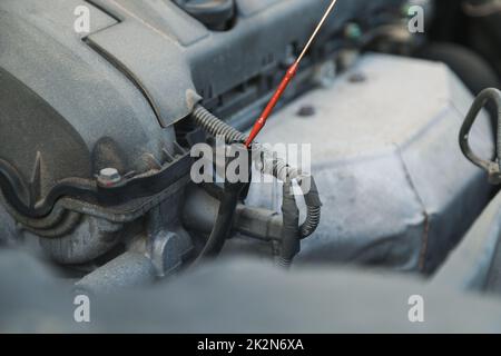 Der Servicetechniker nimmt einen Messstab heraus, um den Ölstand im Automotor zu überprüfen. Stockfoto