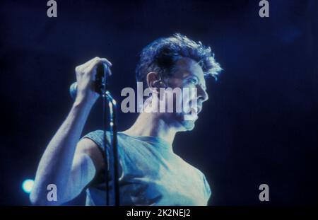 DAVID BOWIE ; geb.1947-2016, englischer Singer-Songwriter und Schauspieler ; Portrait ; um 1995 ; Credit: Mel Longhurst / Performing Arts Images ; www.performingartsimages.com Stockfoto