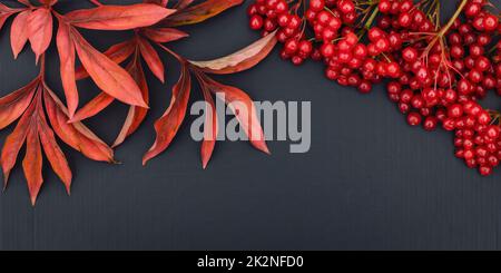 Reife rote Viburnum-Beeren und Herbstblätter auf schwarzem Tisch mit Platz für Text. Stillleben, Rahmenrand, Mockup, flaches Lay, Draufsicht. Festlich, beaut Stockfoto