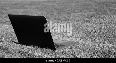 Laptop auf grünem Gras im Freien für Online-Arbeit, Kopierplatz, agiles Geschäft Stockfoto