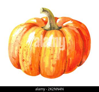 Aquarell-Kürbis. Großer gelber Kürbis mit Stiel. Stockfoto