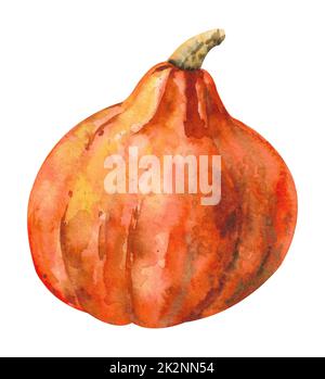 Aquarell-Kürbis. Großer orangefarbener Kürbis mit Stiel. Stockfoto