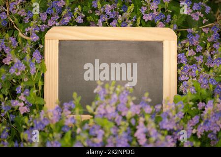 Leere Tafel steht auf einer Wiese mit Blumen, Kopierraum für Text, Muttertagskarte, Werbe- und Marketinghintergrund, Frühling und Sommer Stockfoto