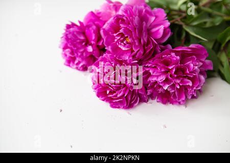 Wunderschöner Strauß rosa Pfingstrosen. Das Konzept der Arbeit eines Floristen in einem Blumenladen. Platz für eine Inschrift. Stockfoto