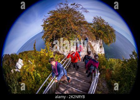 Sassnitz, Deutschland. 23. September 2022. Die letzten Besucher steigen eine Holztreppe hinauf zur Aussichtsplattform des Kreidefelsen Königsstein auf der Insel Rügen. (Ausnahme: Extrem-Weitwinkelobjektiv) am 25. September 2022 ist der Aussichtspunkt auf dem 118 Meter hohen Felsen für Besucher für immer gesperrt. Nach einem dreitägigen Abschiedsprogramm wird die Kreideklippe für den Bau des neuen Königsweges geschlossen. In Zukunft wird die neue Struktur, die von einem Mast aufgehängt wird, über dem Felsen schweben und ihn vor Erosion schützen. Quelle: Jens Büttner/dpa/Alamy Live News Stockfoto